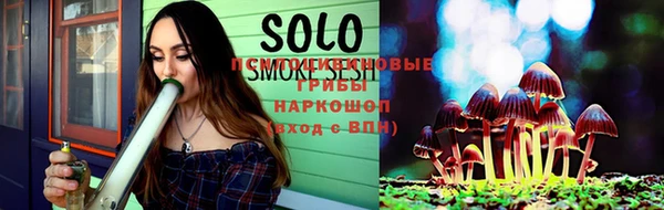 спиды Богданович