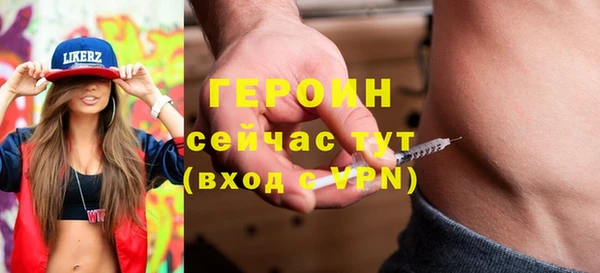 индика Бородино