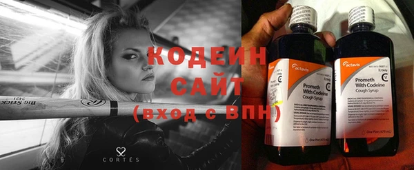 спиды Богданович