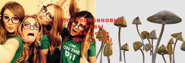 бошки Богородск