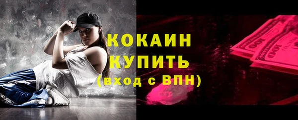 индика Бородино
