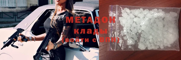 индика Бородино