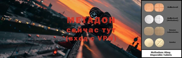 спиды Богданович