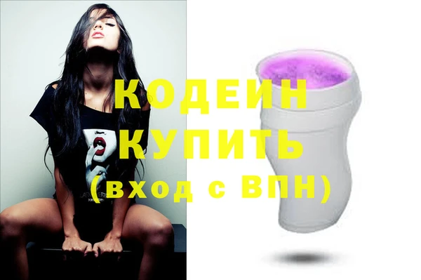 индика Бородино