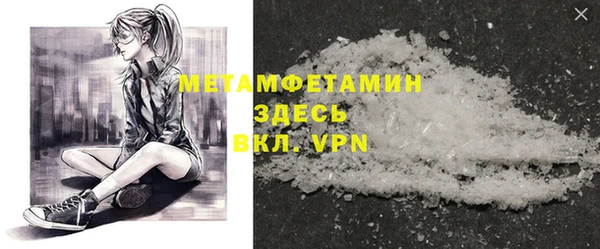 индика Бородино