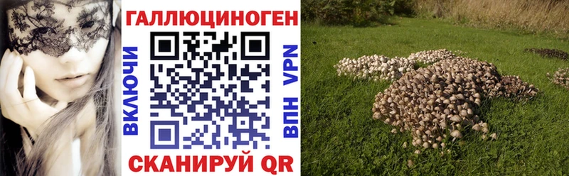 Галлюциногенные грибы мицелий Можайск